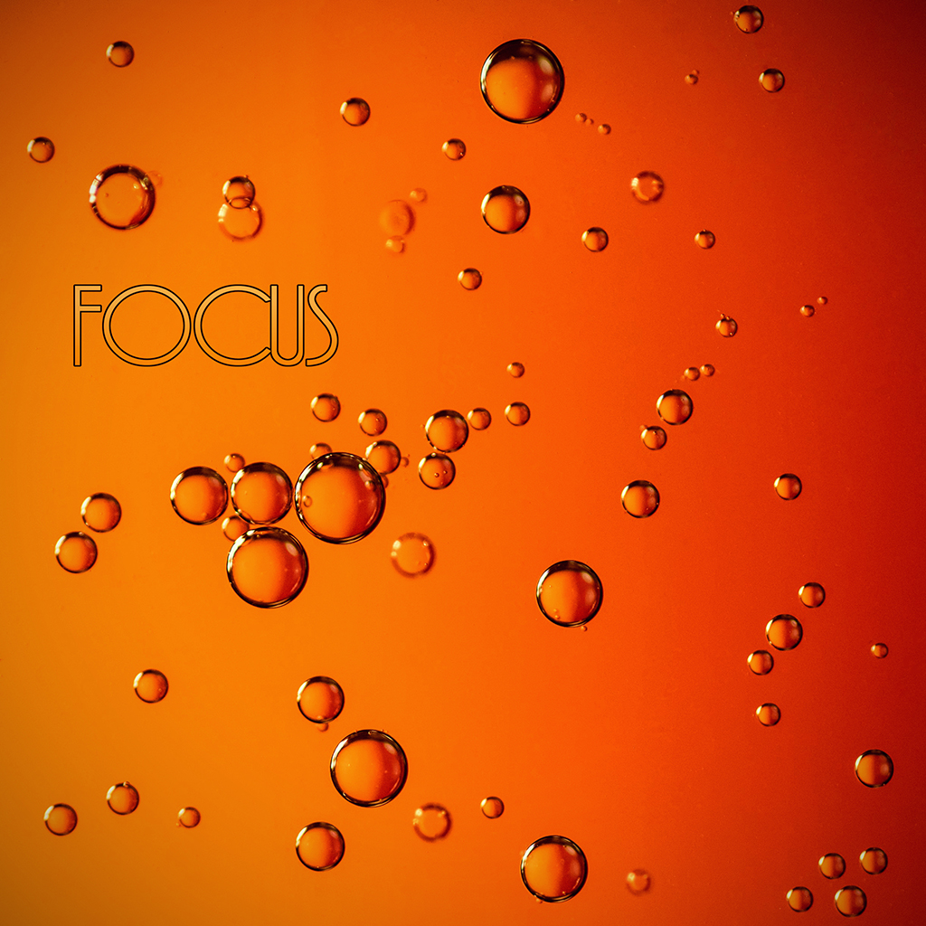 Focus 残酷な天使のテーゼ Earcouture